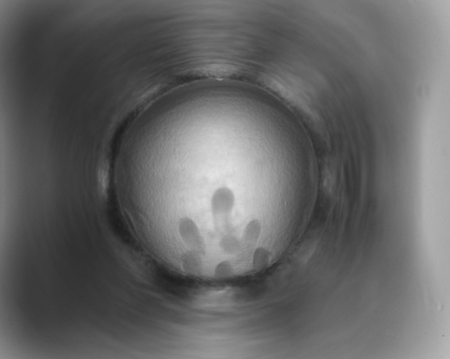 X0000089730206200707051745