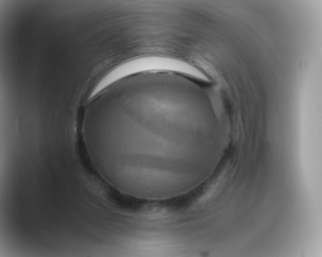 X0000089730207200707051745