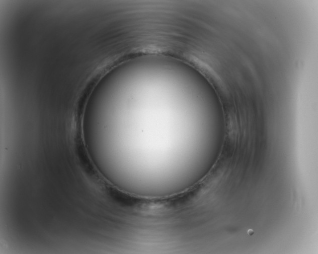X0000089730208200707051745