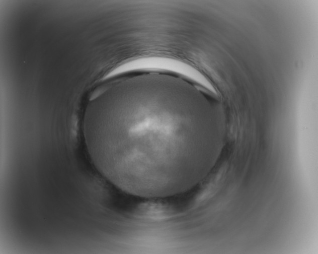 X0000089730211200707051745