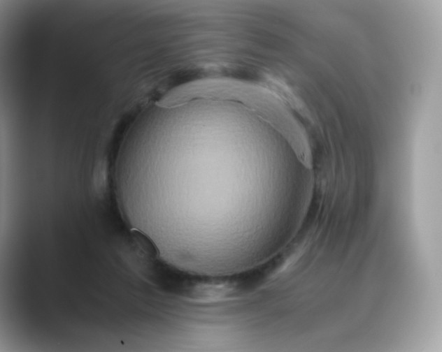 X0000089730213200707051745