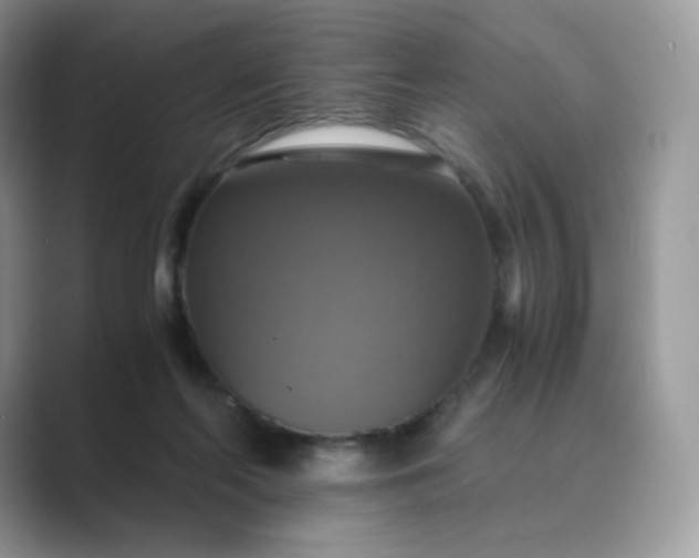 X0000089730214200707051745