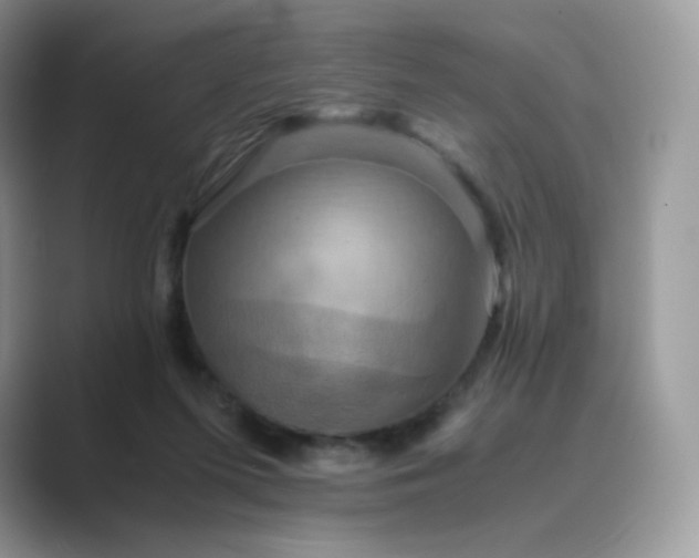 X0000089730215200707051745