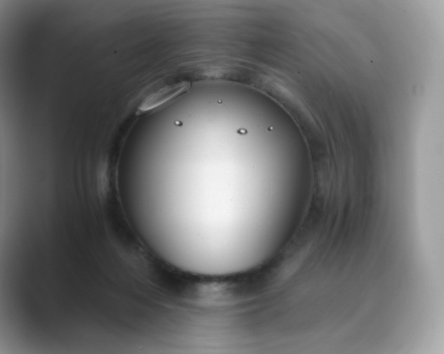 X0000089730216200707051745