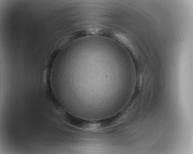 X0000089730217200707051745