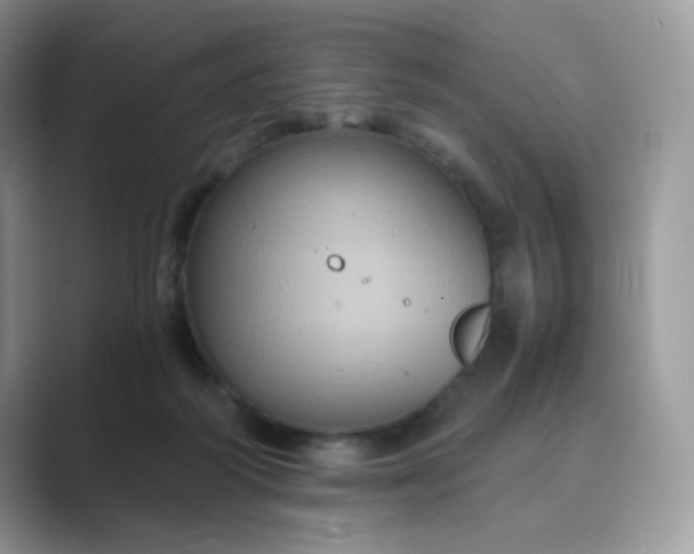 X0000089730218200707051745