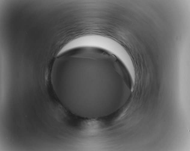 X0000089730219200707051745