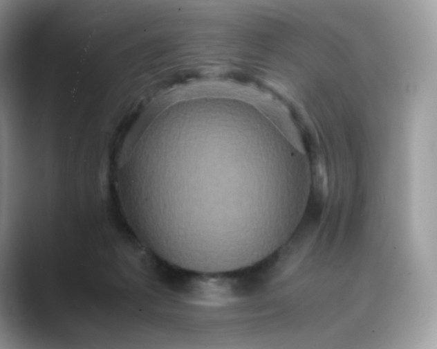 X0000089730221200707051744