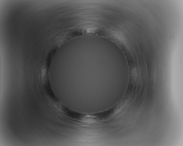 X0000089730222200707051744