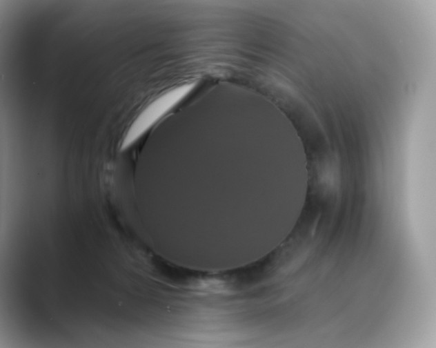X0000089730224200707051744