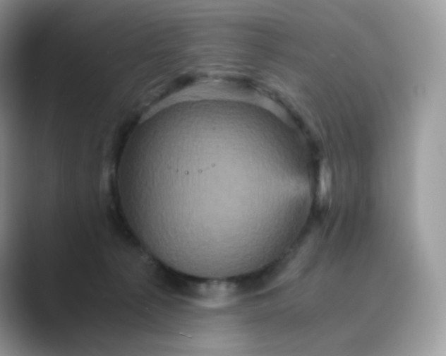 X0000089730225200707051744