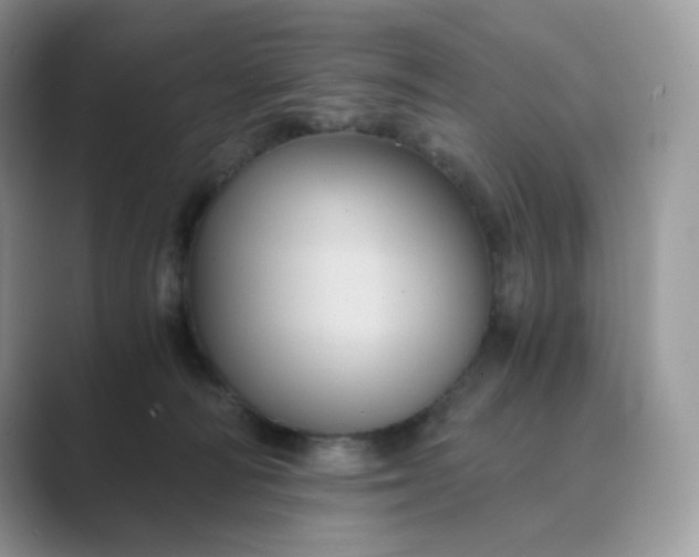 X0000089730226200707051744