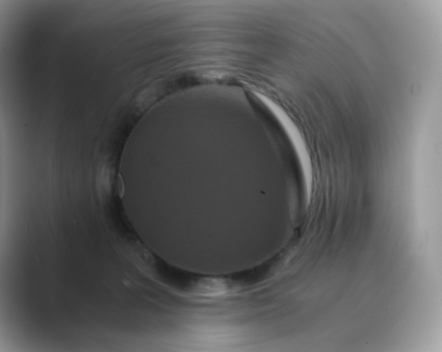 X0000089730227200707051744
