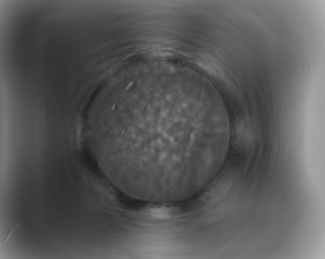 X0000089730228200707051744