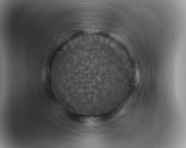 X0000089730229200707051744