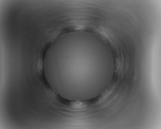 X0000089730230200707051744