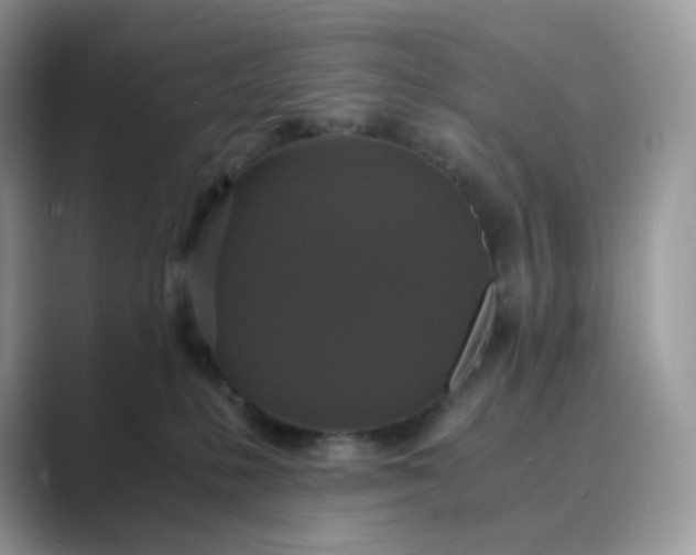 X0000089730231200707051744