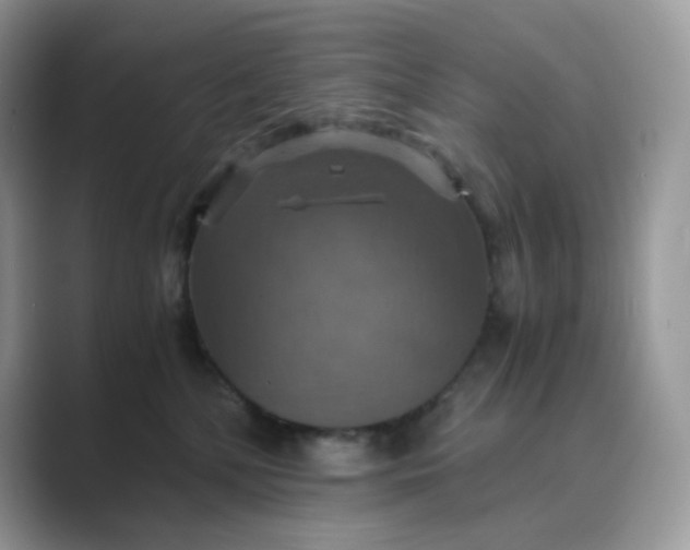 X0000089730232200707051744