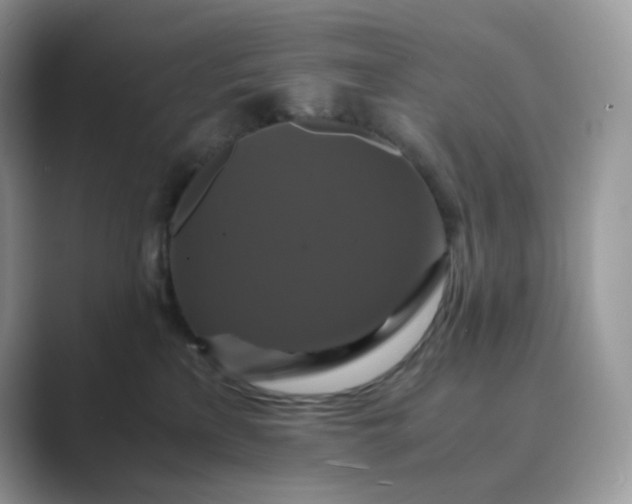 X0000089730233200707051744
