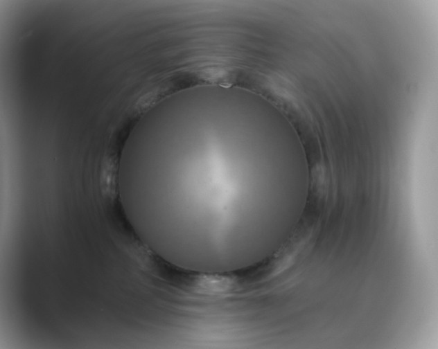 X0000089730234200707051744