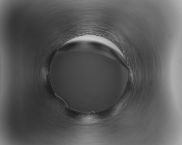 X0000089730235200707051744