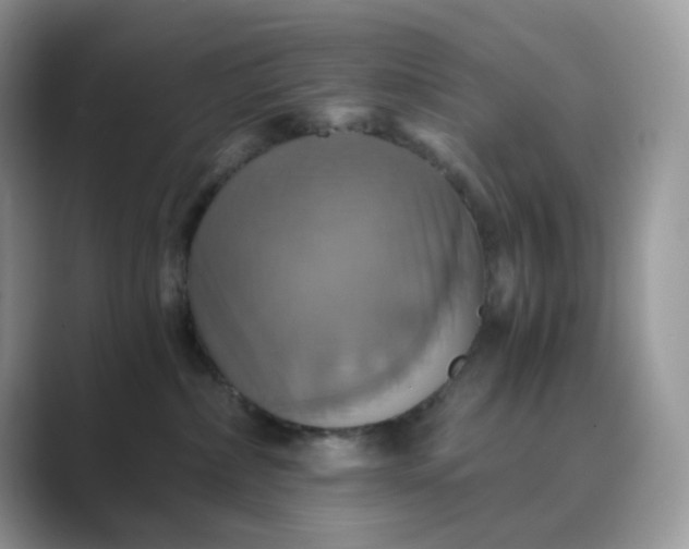 X0000089730236200707051744