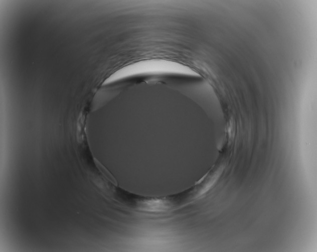 X0000089730237200707051744