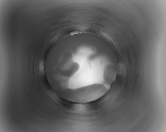 X0000089730238200707051744
