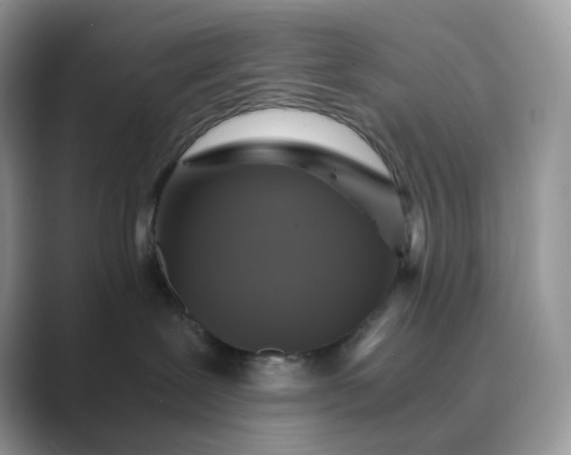 X0000089730239200707051744