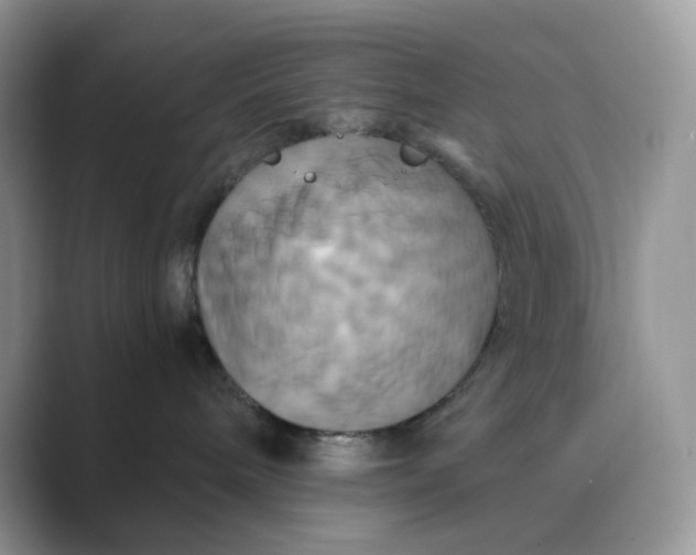 X0000089730240200707051744