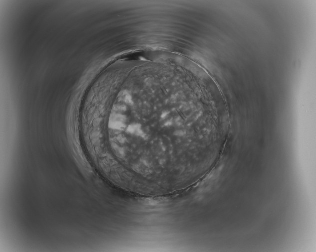 X0000089730241200707051744