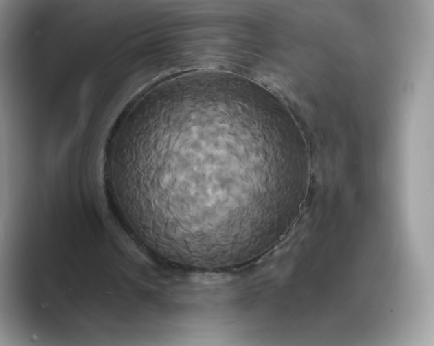 X0000089730242200707051744
