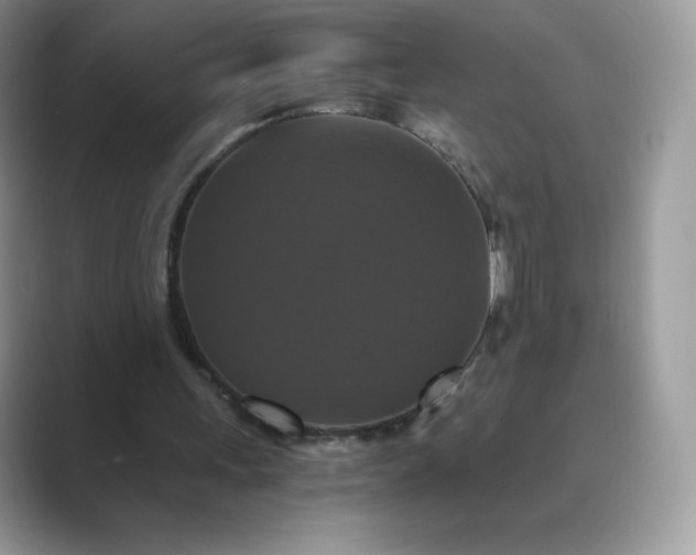 X0000089730243200707051744