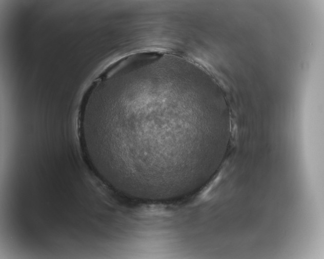 X0000089730244200707051744