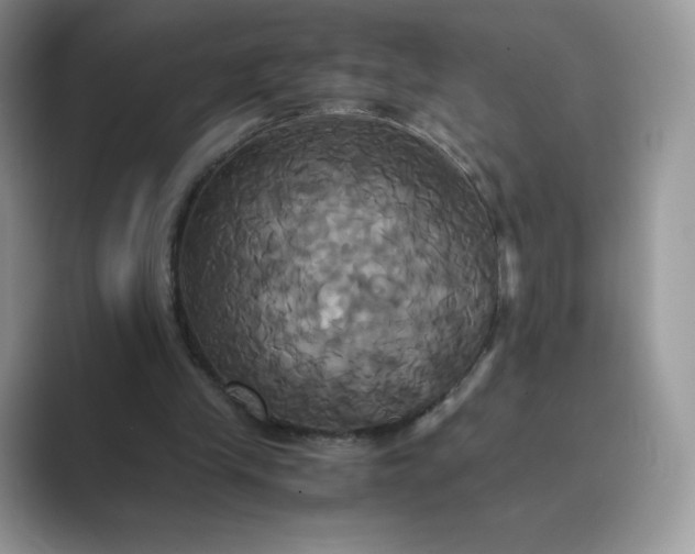 X0000089730245200707051744