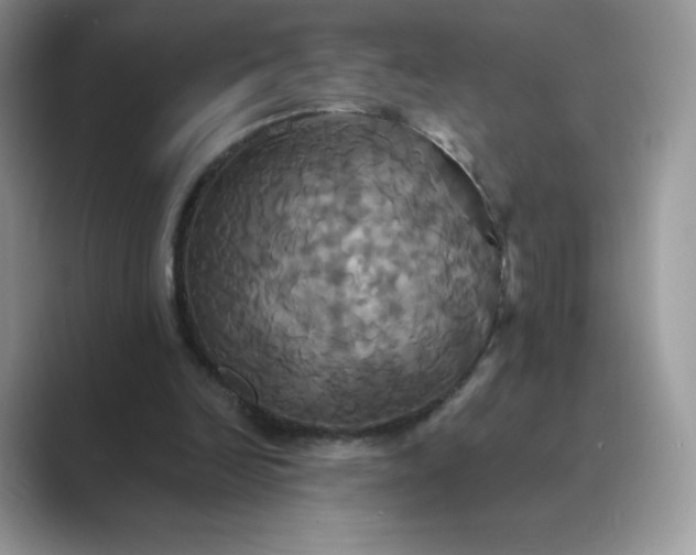 X0000089730246200707051744