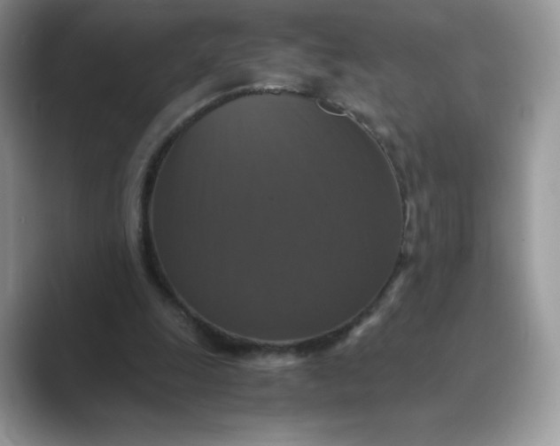 X0000089730247200707051744