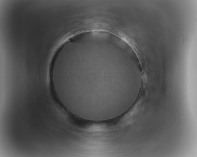 X0000089730248200707051744