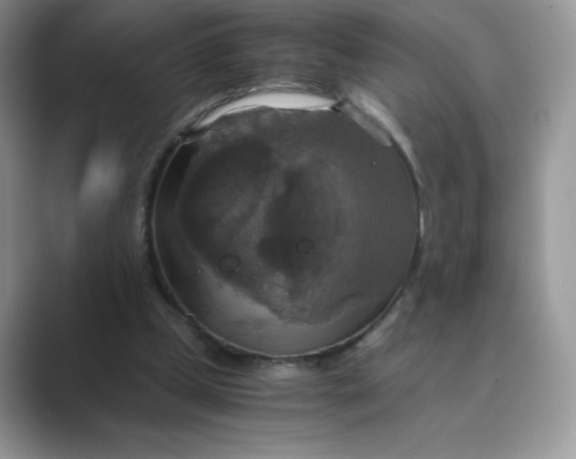X0000089730249200707051744