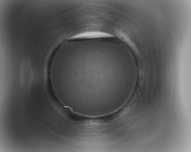 X0000089730250200707051744