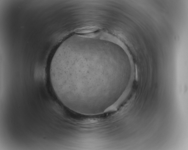 X0000089730252200707051744
