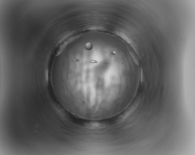 X0000089730253200707051744
