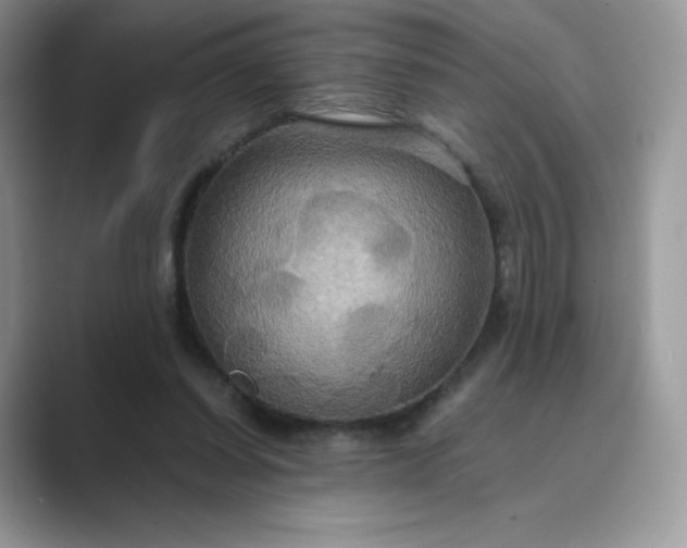 X0000089730254200707051744