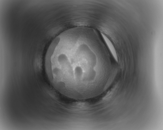 X0000089730255200707051744