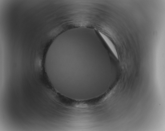 X0000089730258200707051744