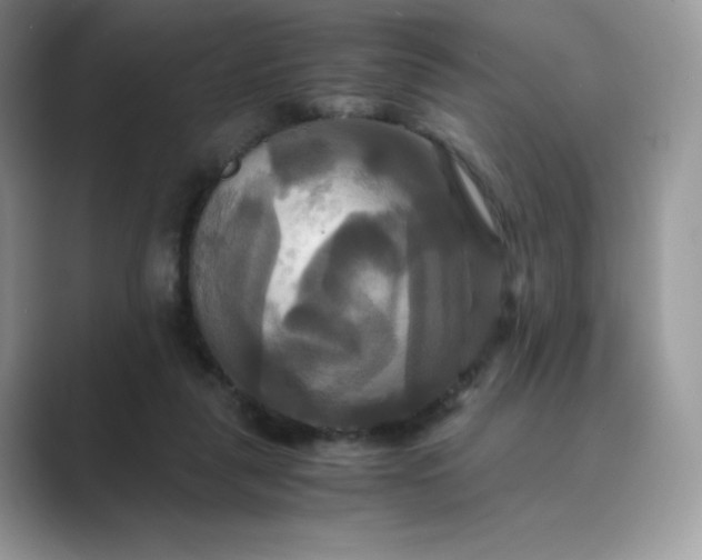 X0000089730259200707051744