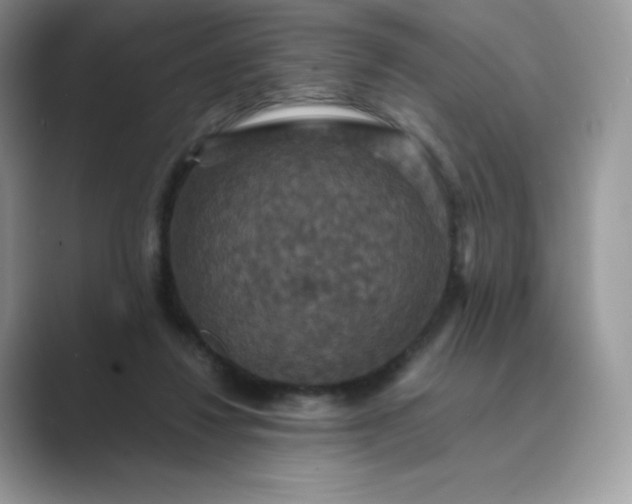 X0000089730260200707051744