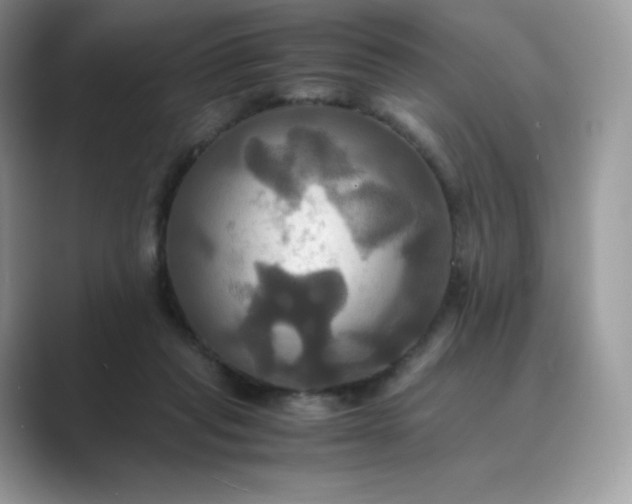 X0000089730261200707051744