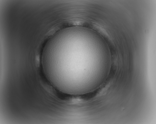 X0000089730262200707051744