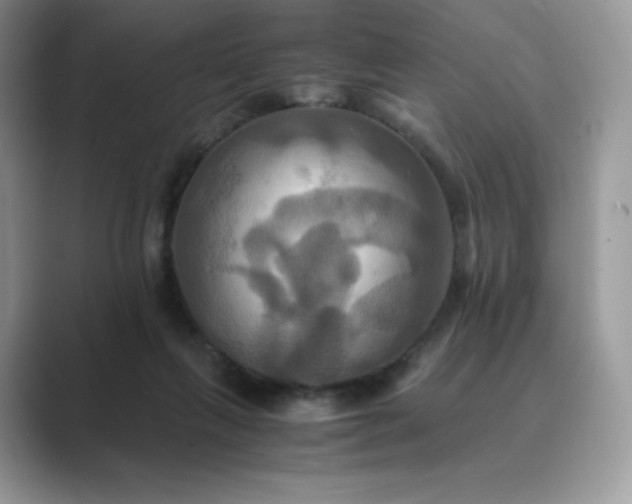 X0000089730263200707051744
